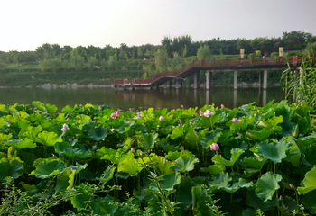 汉城湖景区第 135 张图片