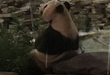 长屿硐天观夕硐景点第 13 张图片