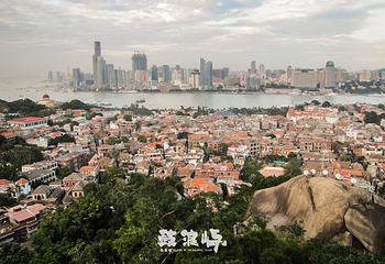 琴园第 7 张图片