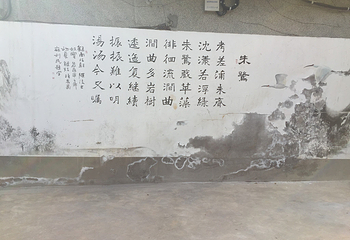 朱鹮生态园第 31 张图片