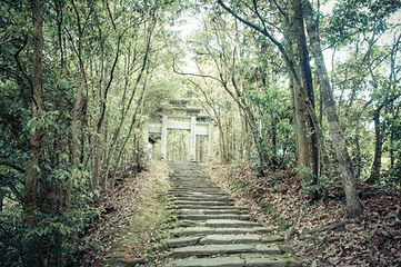 文公山第 27 张图片