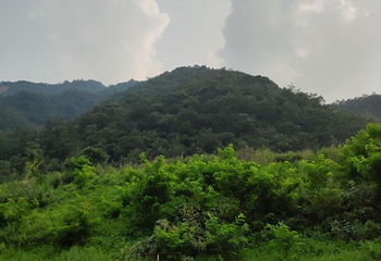 尧山大峡谷漂流第 16 张图片