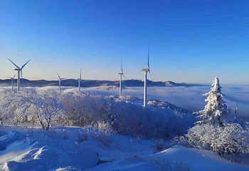 大秃顶子山第 41 张图片
