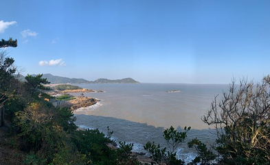 舟山市普陀山风景区-紫竹林第 27 张图片