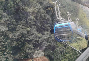 油杉河景区第 10 张图片