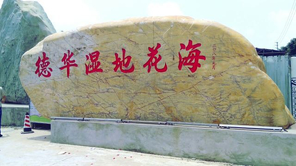 中山德华湿地花海第 18 张图片