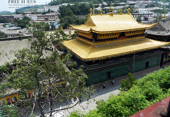 大金瓦寺第 4 张图片