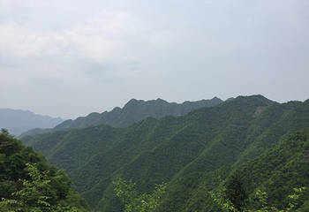 板桥第 9 张图片