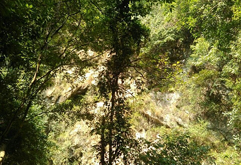 古潮音洞风景区第 25 张图片