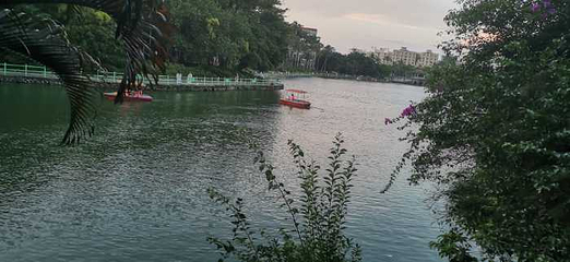 寸金桥公园第 22 张图片