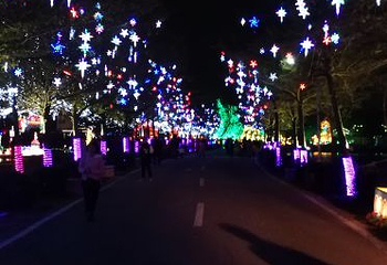 绿梦欢乐世界第 31 张图片