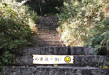 五岳寨风景区第 32 张图片