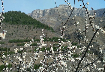 齐山风景区第 36 张图片
