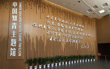 大丰上海知青纪念馆第 29 张图片