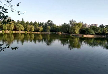 咸阳湖景区渭滨公园第 10 张图片