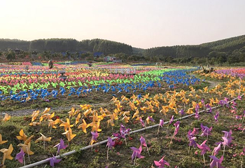 南宁花雨湖生态休闲旅游区第 15 张图片