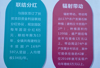 转石奇观景区第 11 张图片
