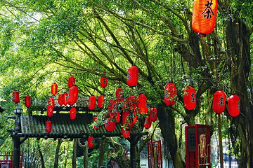 茶翁古镇第 19 张图片