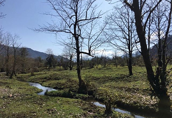 黑竹沟风景名胜区第 47 张图片