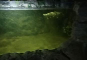 云龙湖水上世界第 30 张图片