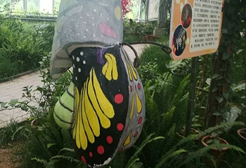 玉燕山蝴蝶谷第 22 张图片