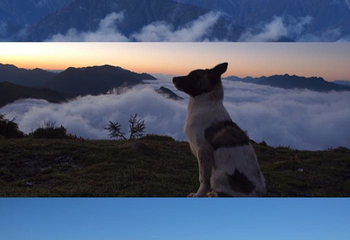 轿顶山旅游度假区-轿顶山第 8 张图片