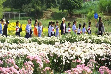 泉州鲜花港第 21 张图片