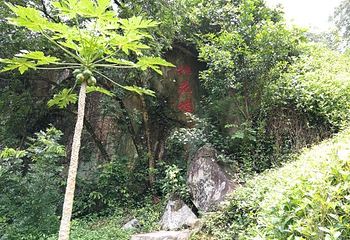 长泰鼓鸣岩风景区第 35 张图片