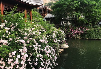 保府大院第 40 张图片