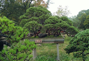 万景山庄第 4 张图片