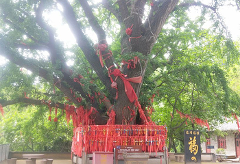 威海圣水观第 25 张图片