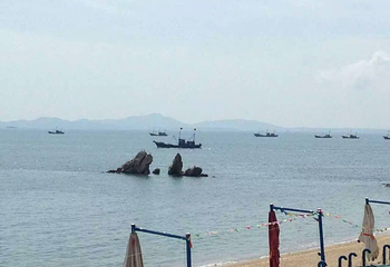 蛤蜊岛第 43 张图片