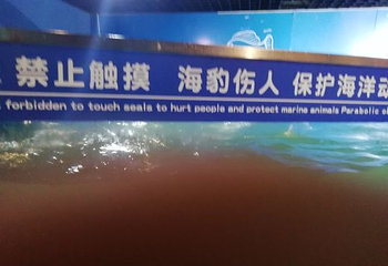新澳海底世界第 64 张图片