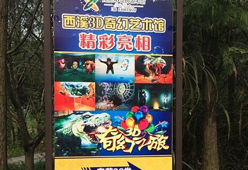 西溪3D奇幻艺术馆第 16 张图片