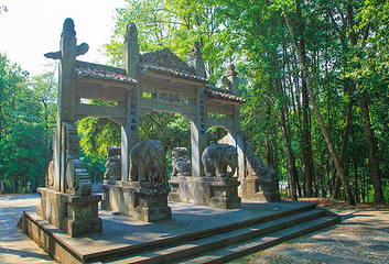 来凤山国家森林公园第 10 张图片