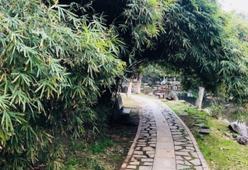 南昌人民公园第 3 张图片