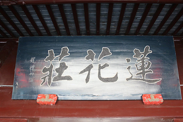 莲花庄公园第 13 张图片