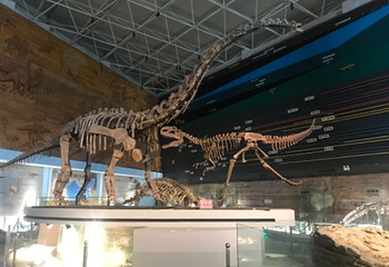 辽宁朝阳鸟化石国家地质公园第 51 张图片