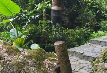 仙门奇峡第 78 张图片