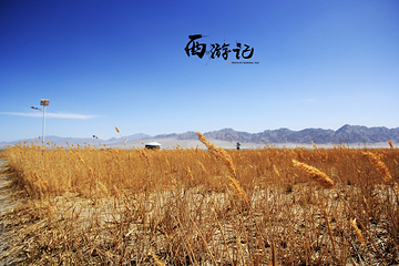 大苏干湖第 7 张图片
