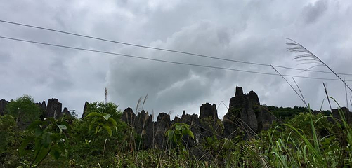 泥凼石林风景区第 18 张图片