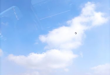 胶州湾大桥第 11 张图片