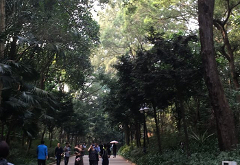 笔架山公园第 16 张图片