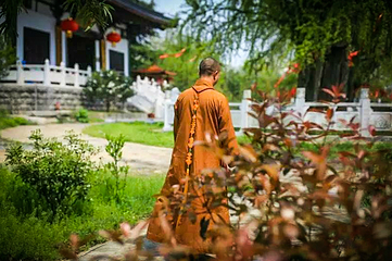 惠济寺第 3 张图片