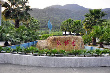 葵博园第 25 张图片