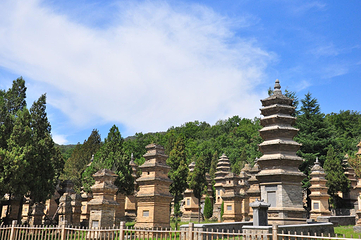 嵩山少林景区第 34 张图片