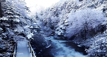 康定木格措景区第 46 张图片