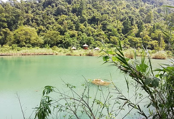 贵阳红枫大冲村樱花园第 13 张图片
