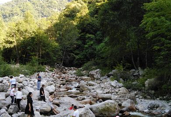 红河谷森林公园第 35 张图片