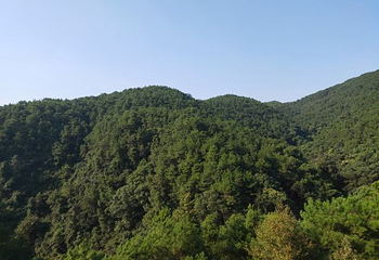 逍遥湖景区第 18 张图片